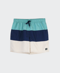 Men's Classic 15-Inch Volley Boardshorts